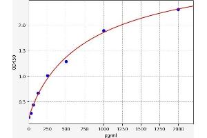 Amphiregulin (AREG) ELISA Kit