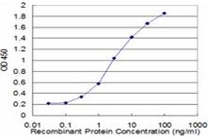 Detection limit for recombinant GST tagged FOXC2 is approximately 0. (FOXC2 antibody  (AA 421-501))