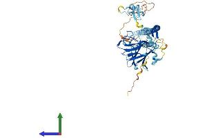 AlphaFold protein structure predicition of Human Recombinant TRIM16 Protein, UniprotID O95361 (TRIM16 Protein (AA 1-564) (His tag))