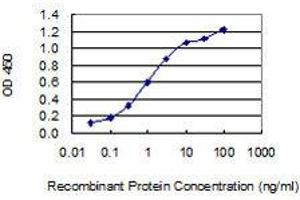 Detection limit for recombinant GST tagged KIF5B is 0. (KIF5B antibody  (AA 864-962))