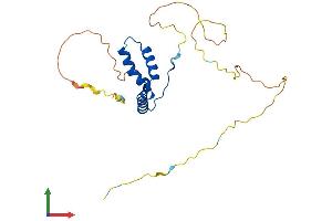 AlphaFold protein structure predicition of Human Recombinant SOX15 Protein, UniprotID O60248 (SOX15 Protein (AA 1-233) (His tag))