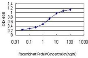 Detection limit for recombinant GST tagged NEK10 is approximately 0. (NEK10 antibody  (AA 211-300))