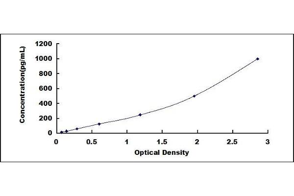 S100A11 ELISA Kit