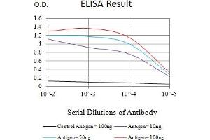 Black line: Control Antigen (100 ng),Purple line: Antigen (10 ng), Blue line: Antigen (50 ng), Red line:Antigen (100 ng) (FGFR4 antibody  (AA 22-369))