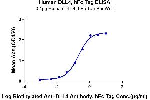 ELISA image for delta-Like 4 (DLL4) (AA 27-524) protein (Fc Tag) (ABIN7274485)