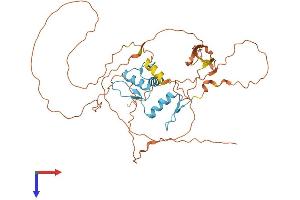 AlphaFold protein structure predicition of Human Recombinant KLF15 Protein, UniprotID Q9UIH9 (KLF15 Protein (AA 1-416) (His tag))