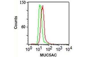 Intracellular flow cytometry staining of A549 cells using MUC5AC antibody (red) and isotype control (green). (MUC5AC antibody)