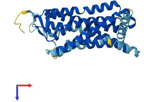 AlphaFold protein structure predicition of Human Recombinant OR10A7 Protein, UniprotID Q8NGE5 (OR10A7 Protein (AA 1-316) (His tag))
