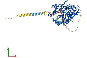 AlphaFold protein structure predicition of Human Recombinant XXYLT1 Protein, UniprotID Q8NBI6