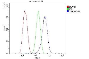 Flow Cytometry analysis of U87 cells using anti-TXN2 antibody (ABIN7602150). (TXN2 antibody  (AA 60-166))
