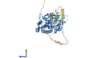 Protein Structure (PS) image for Protein Phosphatase 3, Catalytic Subunit, gamma Isozyme (PPP3CC) (AA 1-513) protein (His tag) (ABIN7563317)