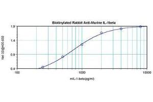 Image no. 1 for anti-Interleukin 1, beta (IL1B) antibody (Biotin) (ABIN465876)