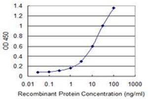Detection limit for recombinant GST tagged BMP5 is 0. (BMP5 antibody  (AA 323-422))