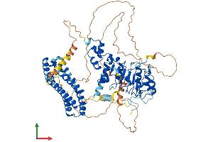 AlphaFold protein structure predicition of Human Recombinant FBXL5 Protein, UniprotID Q9UKA1 (FBXL5 Protein (AA 1-691) (His tag))