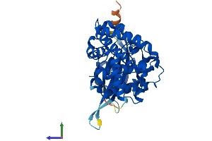Protein Structure (PS) image for Aminoglycoside phosphotransferase Domain Containing 1 (AGPHD1) (AA 1-373) protein (His tag) (ABIN7548381)