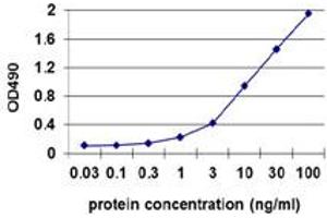 Sandwich ELISA detection sensitivity ranging from 0. (RRM2 (Human) Matched Antibody Pair)