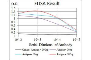 Red: Control Antigen (100ng) ; Purple: Antigen (10ng) ; Green: Antigen (50ng) ; Blue: Antigen (100ng). (MAP2 antibody  (AA 24-123))