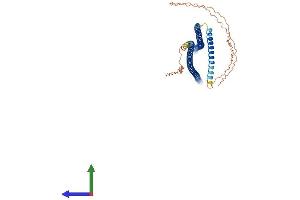 Protein Structure (PS) image for Keratin 16 (KRT16) (AA 1-473) protein (His tag) (ABIN7548698)