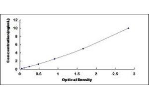 Typical standard curve (CSRP1 ELISA Kit)