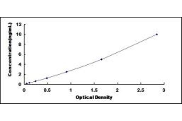 CSRP1 ELISA Kit