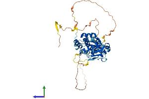 AlphaFold protein structure predicition of Human Recombinant DUSP7 Protein, UniprotID Q16829 (DUSP7 Protein (AA 1-419) (His tag))