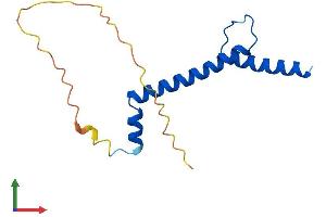 Protein Structure (PS) image for Nescient Helix Loop Helix 1 (NHLH1) (AA 1-133) protein (His tag) (ABIN7556868)