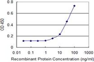 Detection limit for recombinant GST tagged CXCL6 is 1 ng/ml as a capture antibody. (CXCL6 antibody  (AA 1-114))