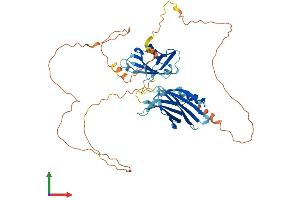 AlphaFold protein structure predicition of Human Recombinant TC2N Protein, UniprotID Q8N9U0