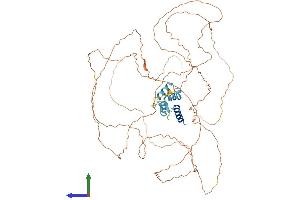 AlphaFold protein structure predicition of Mouse Recombinant Tchhl1 Protein, UniprotID Q9D3P1 (TCHHL1 Protein (AA 1-638) (His tag))
