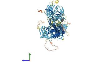 AlphaFold protein structure predicition of Mouse Recombinant Atp13a4 Protein, UniprotID Q5XF90 (ATP13A4 Protein (AA 1-1193) (His tag))