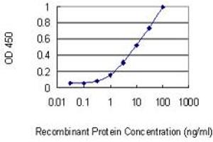 Detection limit for recombinant GST tagged SIGLEC10 is 0. (SIGLEC10 antibody  (AA 589-696))