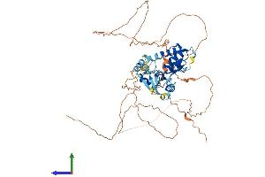 AlphaFold protein structure predicition of Human Recombinant ZNF280B Protein, UniprotID Q86YH2 (ZNF280B Protein (AA 1-543) (His tag))