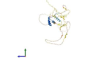 Protein Structure (PS) image for NK6 Homeobox 1 (NKX6-1) (AA 1-365) protein (His tag) (ABIN7560400)