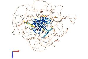 AlphaFold protein structure predicition of Mouse Recombinant Usp54 Protein, UniprotID Q8BL06