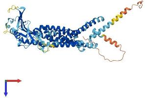 Mucolipin 2 (MCOLN2) (AA 1-566) protein (His tag)
