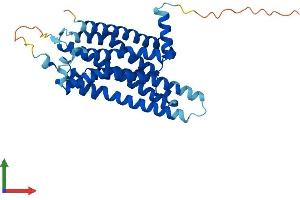 AlphaFold protein structure predicition of Mouse Recombinant Adora2b Protein, UniprotID Q60614 (Adenosine A2b Receptor Protein (ADORA2B) (AA 1-332) (His tag))