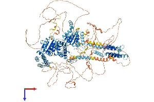 ATPase Family, AAA Domain Containing 2B (ATAD2B) (AA 1-1458) protein (His tag)