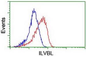 Image no. 2 for anti-IlvB (Bacterial Acetolactate Synthase)-Like (ILVBL) antibody (ABIN1498877)