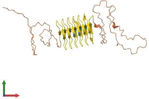 AlphaFold protein structure predicition of Human Recombinant KRTAP5-4 Protein, UniprotID Q6L8H1