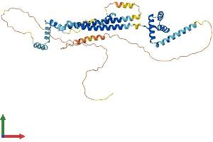 AlphaFold protein structure predicition of Mouse Recombinant Pbx3 Protein, UniprotID O35317 (PBX3 Protein (AA 1-434) (His tag))