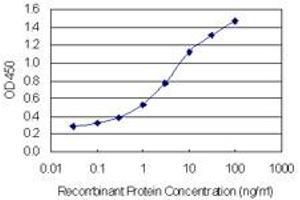 Detection limit for recombinant GST tagged NHS is 0. (Nhs antibody  (AA 1532-1629))