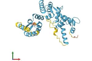 AlphaFold protein structure predicition of Mouse Recombinant Scgn Protein, UniprotID Q91WD9