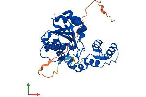 AlphaFold protein structure predicition of Mouse Recombinant Abhd11 Protein, UniprotID Q8K4F5 (ABHD11 Protein (AA 1-307) (His tag))