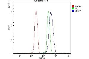 Flow Cytometry analysis of U937 cells using anti-GRSF1 antibody (ABIN7599803). (GRSF1 antibody  (AA 119-405))