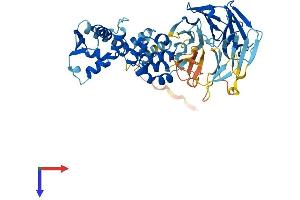AlphaFold protein structure predicition of Human Recombinant KBTBD4 Protein, UniprotID Q9NVX7 (KBTBD4 Protein (AA 1-518) (His tag))