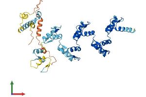 AlphaFold protein structure predicition of Human Recombinant ZNF25 Protein, UniprotID P17030 (ZNF25 Protein (AA 1-456) (His tag))
