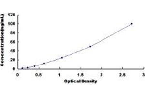 Typical standard curve (NAT1 ELISA Kit)