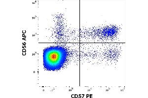 Flow cytometry multicolor surface staining of human lymphocytes stained using anti-human CD57 (TB01) PE antibody (10 μL reagent / 100 μL of peripheral whole blood) and anti-human CD56 (LT56) APC antibody (10 μL reagent / 100 μL of peripheral whole blood).