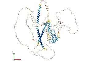 AlphaFold protein structure predicition of Human Recombinant PBXIP1 Protein, UniprotID Q96AQ6