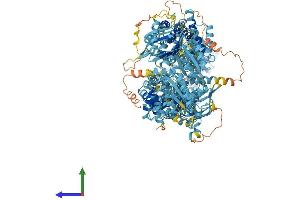 AlphaFold protein structure predicition of Mouse Recombinant Abca5 Protein, UniprotID Q8K448